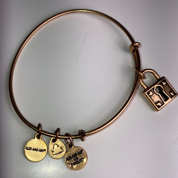 Alex and Ani Unbreakable Love Charm Bangle - Picture 7 of 9